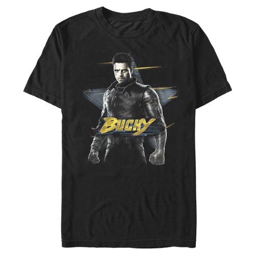 <a href=https://www.hottopic.com/product/marvel-the-falcon-and-the-winter-soldier-bucky-t-shirt/15557118.html>Bucky T-Shirt</a> / Hot Topic
