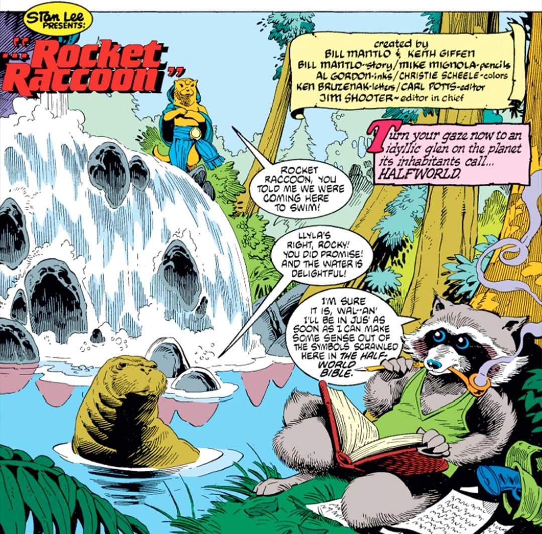 Rocket Raccoon In Comics Full Report Page Divider