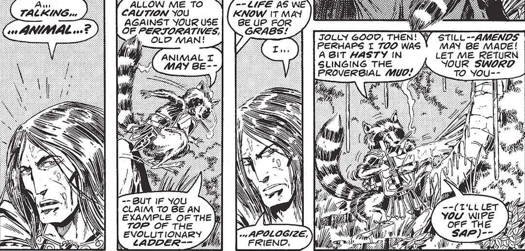 Rocket Raccoon In Comics Full Report Page Divider