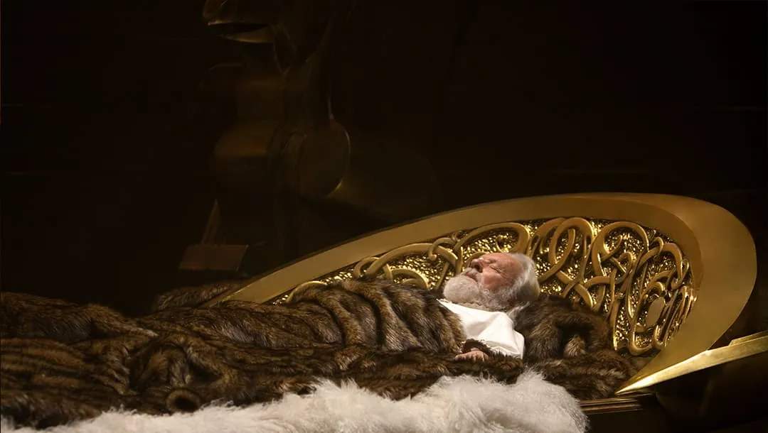 The Odinsleep