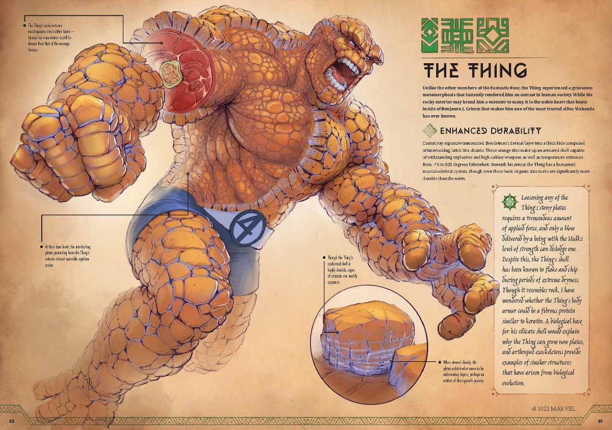 Marvel Anatomy: A Scientific Study of the Superhuman - The Thing illustration by Jonah Lobe