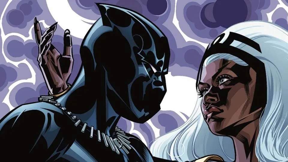 Image for The History of the Black Panther: 2017