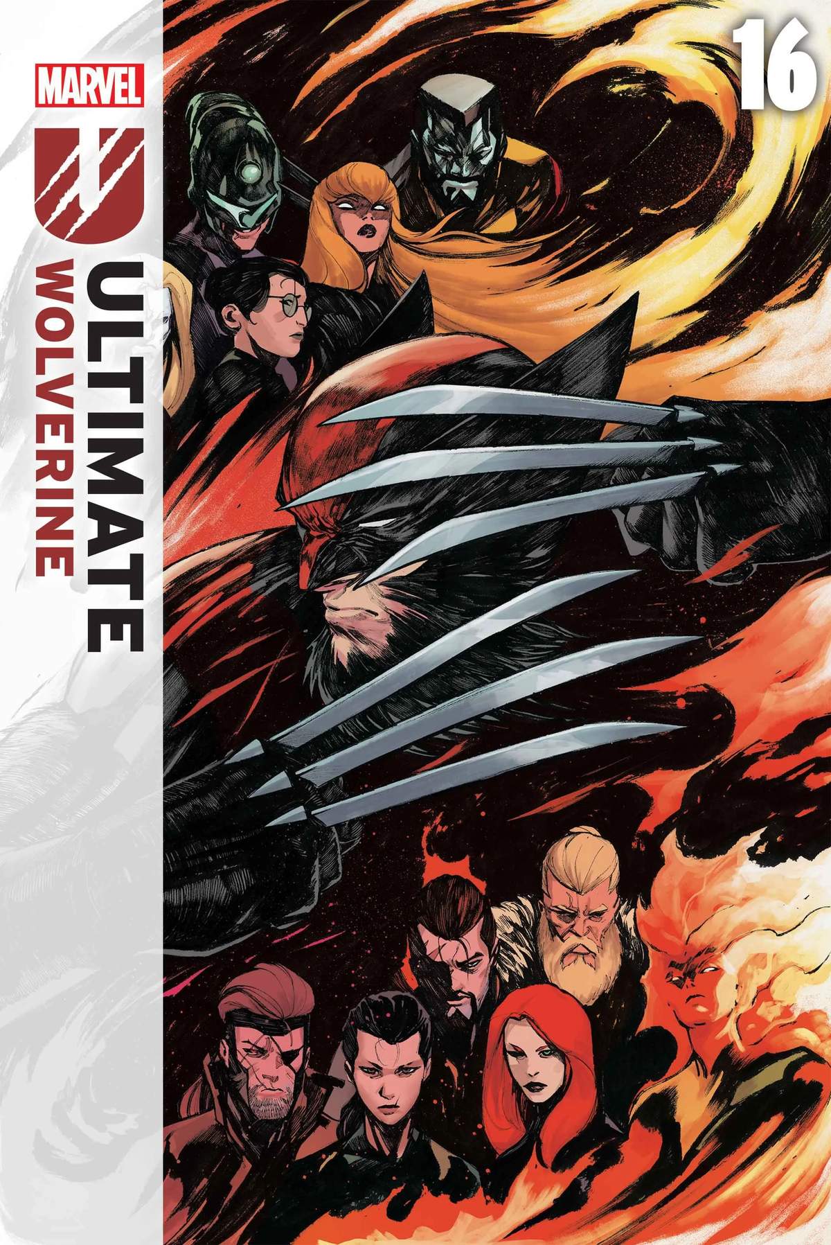 ULTIMATE WOLVERINE #16 Cover by ALESSANDRO CAPPUCCIO
