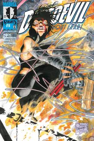 Daredevil (1998) #14