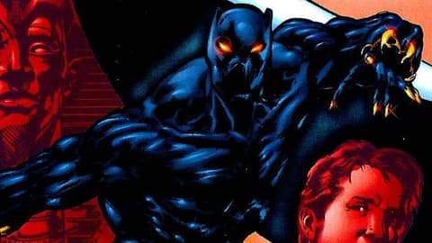 Follow the History of the Black Panther Pt. 24