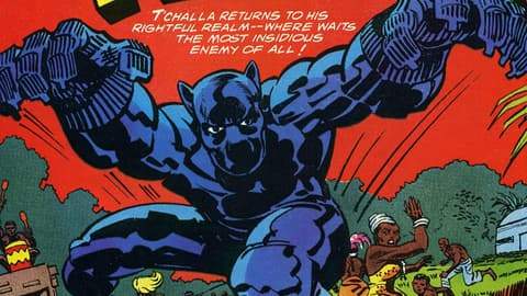 The History of the Black Panther: 1977-1978