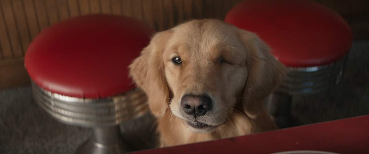 'Hawkeye': Episode 3 Gallery Images