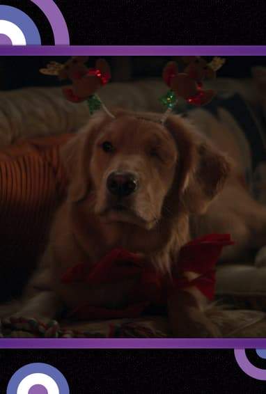 Hawkeye | Episode Guide 4