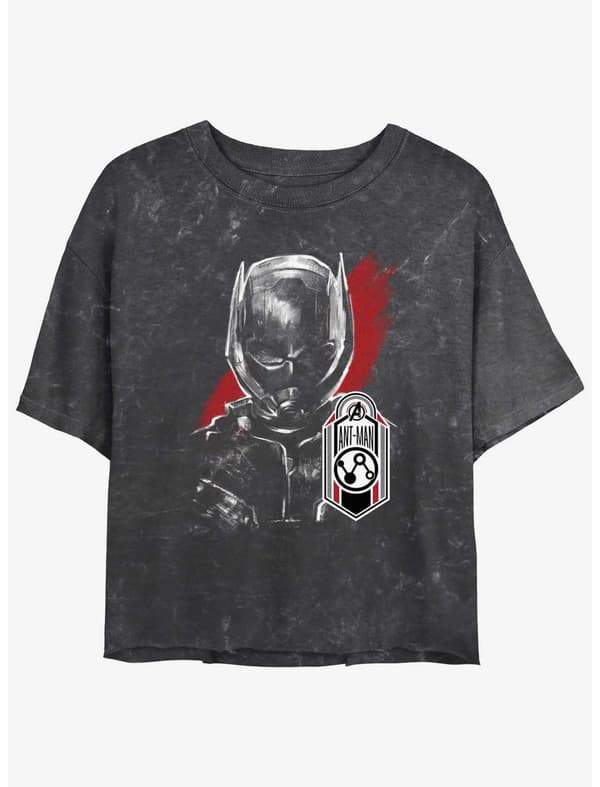 Shop Ant-Man and The Wasp Shirts, Tees, and More <a href=https://www.hottopic.com/pop-culture/shop-by-license/antman/>here</a>