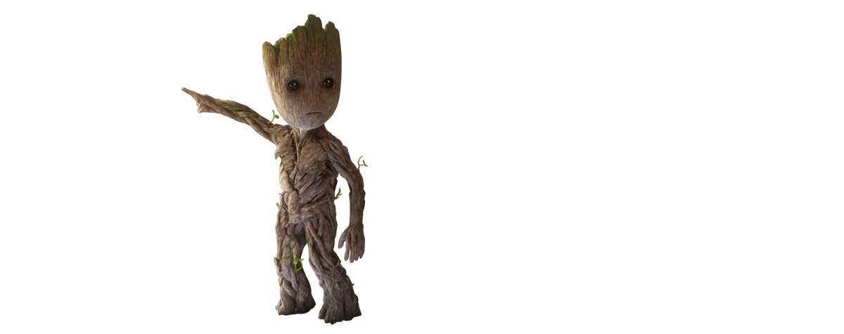 Groot
