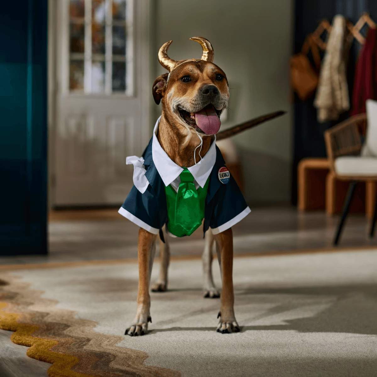 Marvel's Loki President Dog & Cat Costume