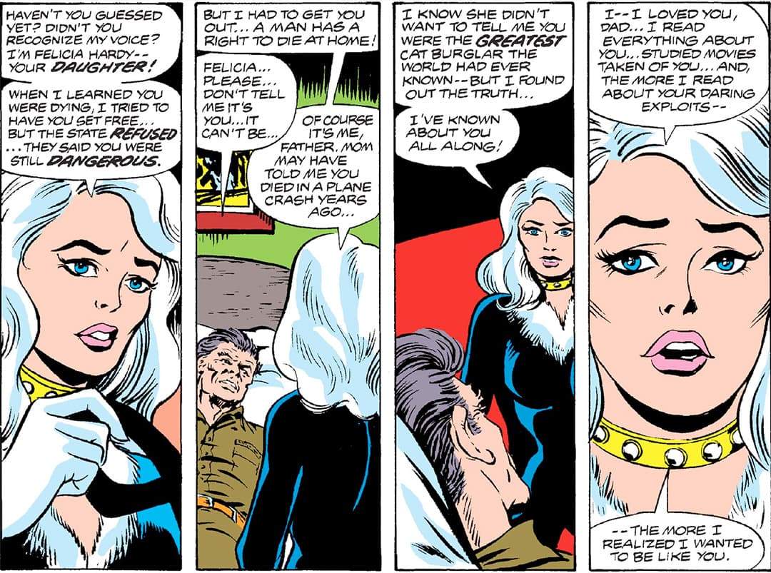 Felicia Hardy Cat Burglar