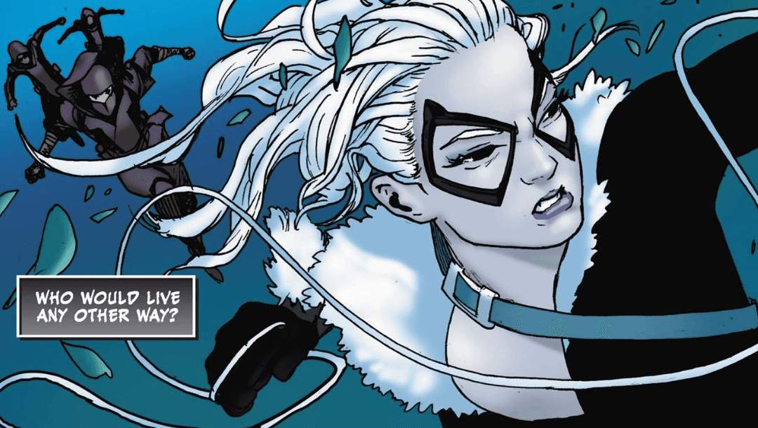 Black Cat steals from the Frick Collection