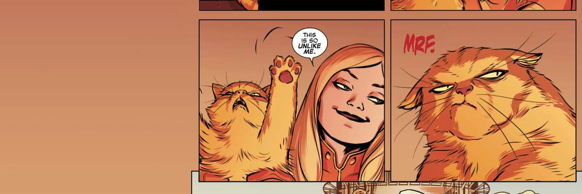 Chewie the Cat