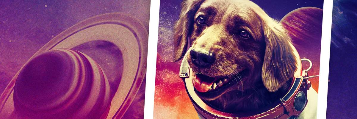 Cosmo the Spacedog