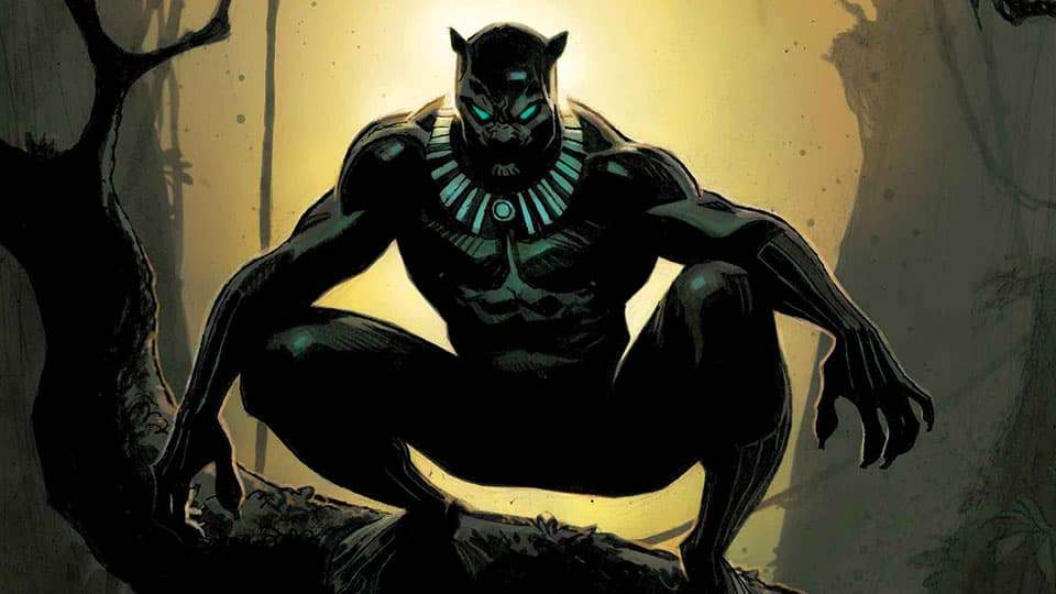 Image for Black Panther: Panthers Past