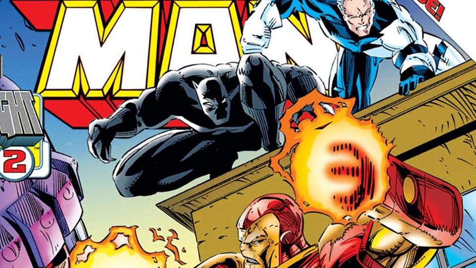 Image for The History of the Black Panther: 1995-1996