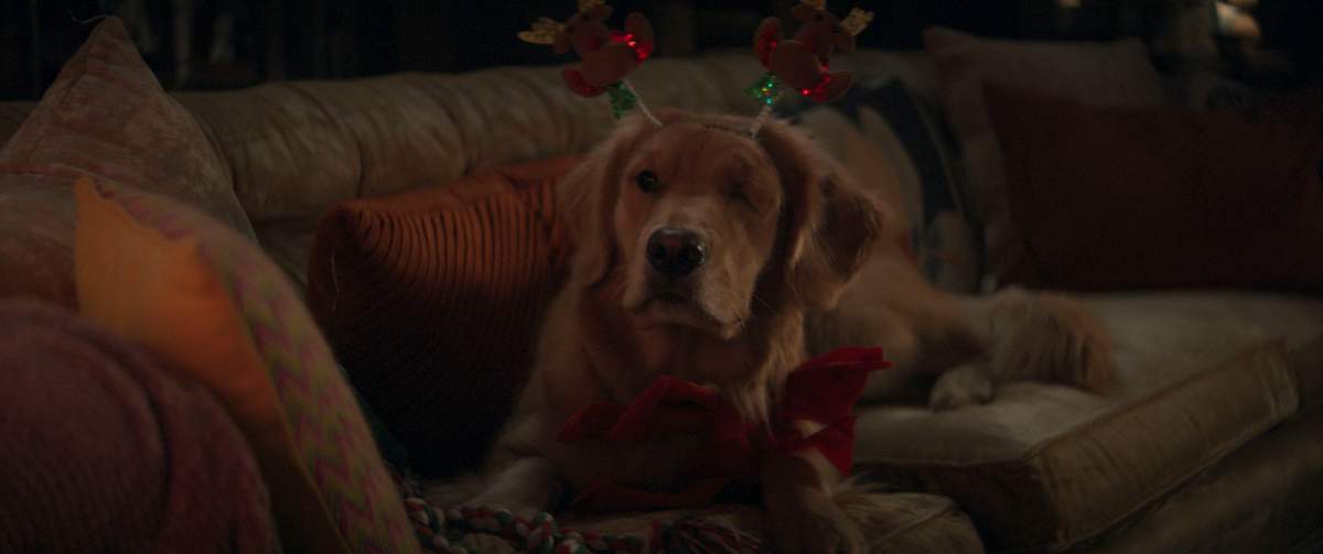 'Hawkeye': Episode 4 Gallery Images