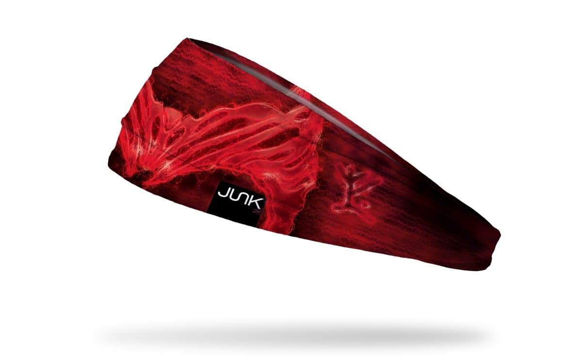 <a href=https://www.junkbrands.com/products/wandavision-scarlet-witch-headband>Scarlet Witch Headband</a> / Junk Brands