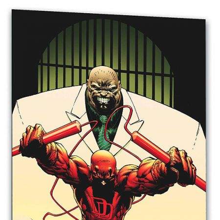 DAREDEVIL: THE DEVIL, INSIDE AND OUT VOL. 1 (2006)